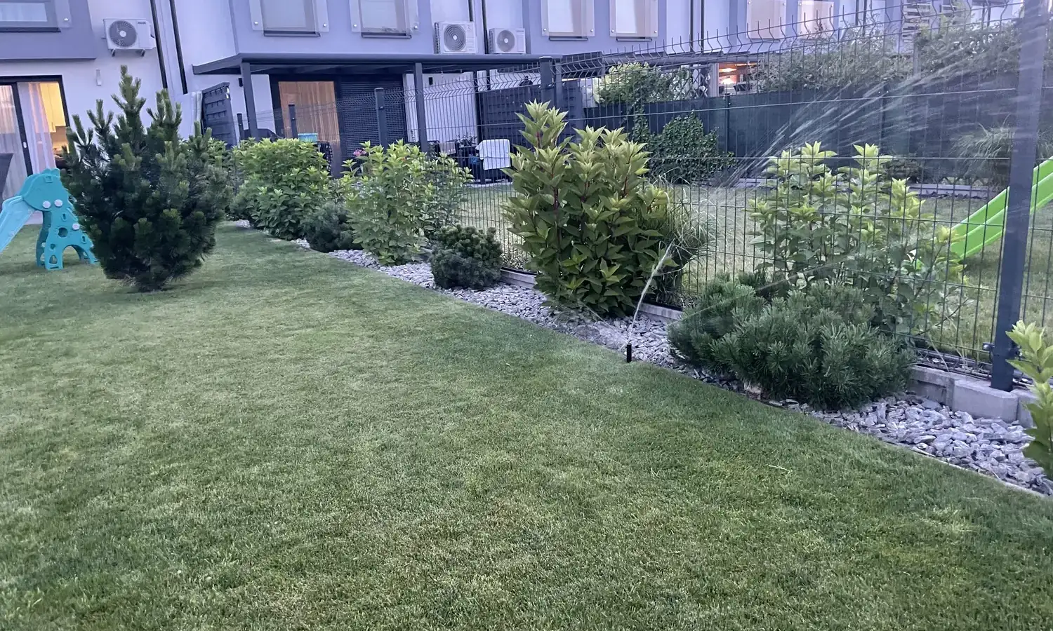 Automatyczne nawadnianie trawnika w ogrodzie w Dołujach - zraszacze w pełnym sezonie