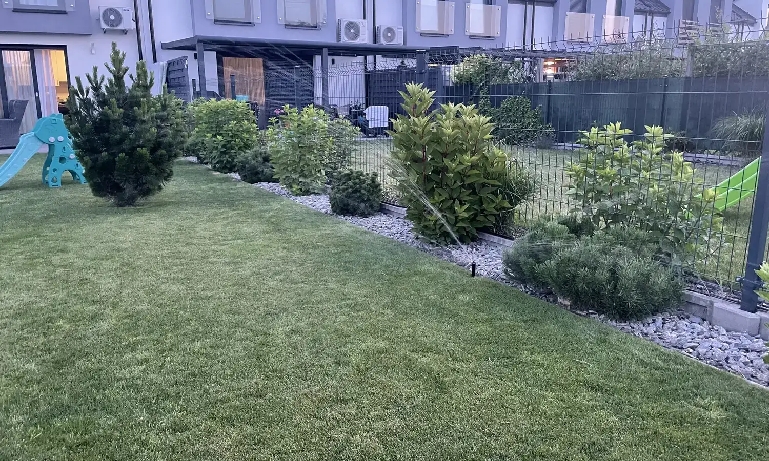 Automatyczne nawadnianie trawnika w ogrodzie w Policach - zraszacze w pełnym sezonie
