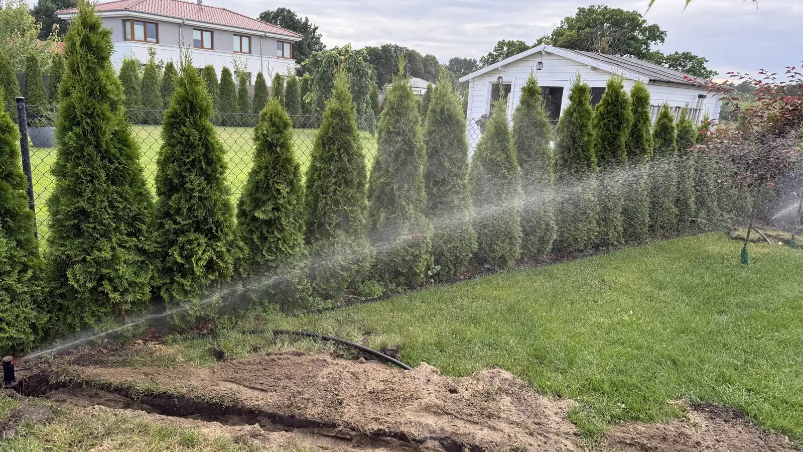 Automatyczne nawadnianie ogrodu w Kościnie - zraszacz Hunter w pracy podczas montażu instalacji
