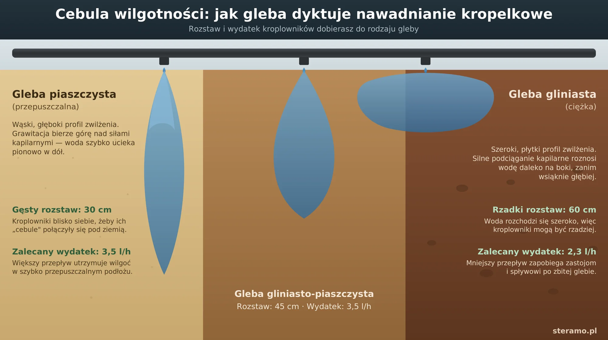 Infografika cebula wilgotności: jak rozstaw i wydatek kroplowników zależą od gleby. Gleba piaszczysta - wąski, głęboki profil zwilżenia, rozstaw 30 cm, wydatek 3,5 l/h. Gleba gliniasto-piaszczysta - 45 cm, 3,5 l/h. Gleba gliniasta - szeroki, płytki profil, rozstaw 60 cm, wydatek 2,3 l/h.