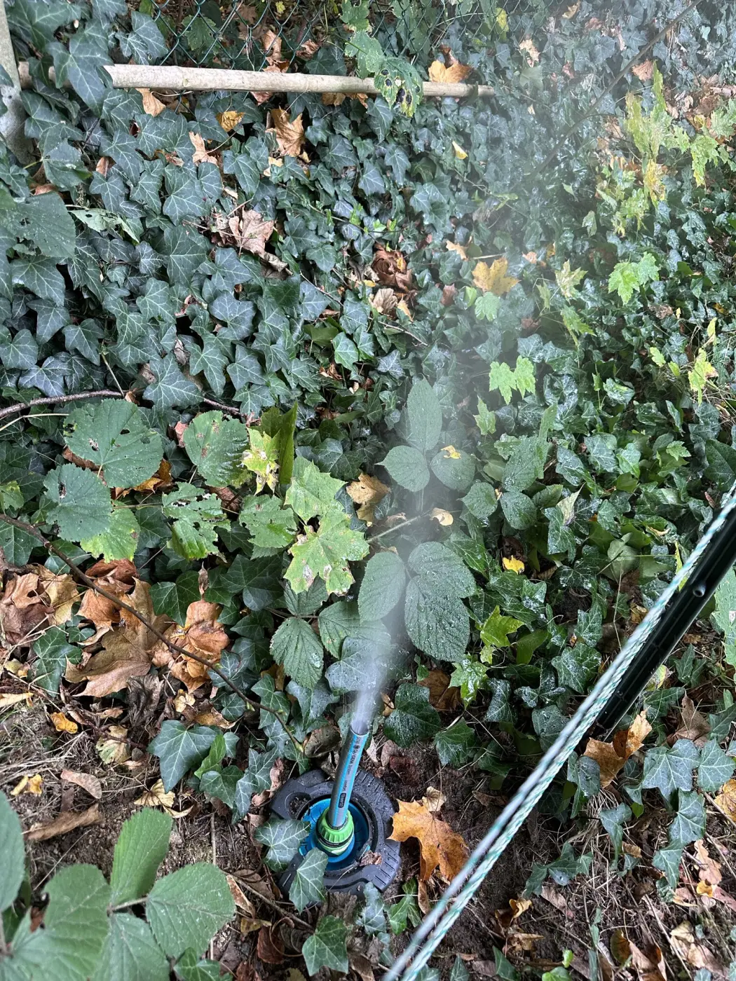 Zraszacz wyrzuca mgiełkę powietrza z resztką wody podczas przedmuchu instalacji
